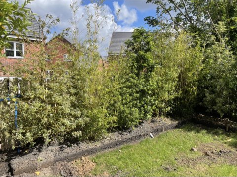Garden transformation