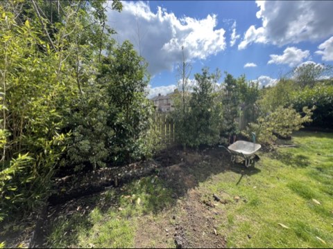 Garden transformation